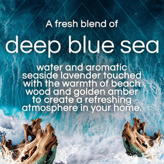 Air Wick Vibrant Plug-In Scented Oil Air Freshener Warmer Refills, Deep Blue Sea and Beach Wood, 5 Count