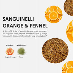 Cucina Sanguinelli Orange and Fennel 3.3 oz Home Fragrant Mist