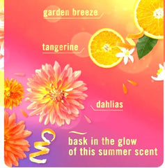 Febreze Plug-In Air Freshener Oil Refill, Summer Golden Hour Scent, 0.87 oz