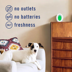 Febreze Multicolor Bathroom Air Freshener, Odor-Fighting, Plug in Alternative, Air Fresheners for Home, Bathroom, Kitchen, and Closet, Heavy Duty Pet Scent, 4 Count