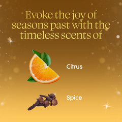 Glade® PlugIns® Refills Air Freshener, Christmas Stocking Stuffer Orange Zest & Clove, 1.34oz., 2 Count
