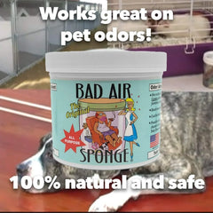 Original Bad Air Sponge Odor Absorber and Neutralizer, 14 oz, Pack of 5
