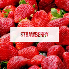 Exotica Car Air Freshener | Spill-proof Can | Organic | For Home & Auto | Long Lasting Freshness | (Pack of 12) (Strawberry)