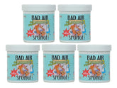 Original Bad Air Sponge Odor Absorber and Neutralizer, 14 oz, Pack of 5