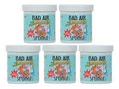 Original Bad Air Sponge Odor Absorber and Neutralizer, 14 oz, Pack of 5