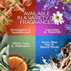 Air Wick Vibrant Plug-In Scented Oil Air Freshener Warmer Refills, Sweet Hibiscus and Magnolia, 5 Count