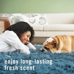 2X - Febreze Odor-Fighting Fabric Refresher, Pet Odor Fight