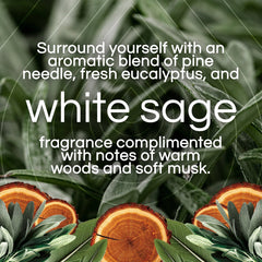Air Wick Vibrant Plug-In Scented Oil Air Freshener Warmer Refills, White Sage and Mahogany, 5 Count