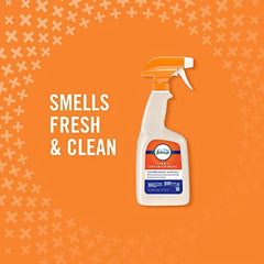 Febreze Fabric Spray, Odor Eliminator for Strong Odor, Sanitizing and Antimicrobial, 32 fl oz (2 Count)