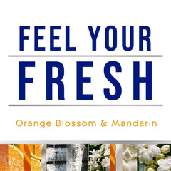 Glade Candles Orange Blossom & Mandarin Scent Fresh Collection 8.16 oz Pack of 2
