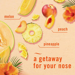 Febreze Air Freshener and Odor Fighter Spray, Hawaiian Aloha Scent, 8.8 Oz (Pack of 6)