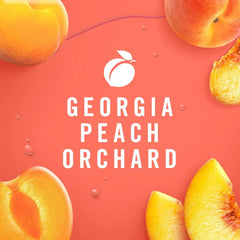 Febreze Plug Dual Refill Air Freshener Georgia Peach Orchard 2ct