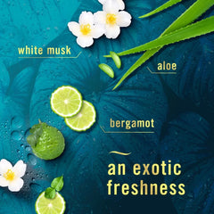 Febreze Air Mist Luxe Air Freshener Spray, Rainforest Scent, 8.1oz
