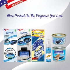 Exotica Car Air Freshener | Spill-proof Can | Organic | For Home & Auto | Long Lasting Freshness | (Pack of 12) (New Car)