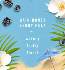 Febreze FABRIC Gain Honey Berry Hula500 mL, (1,05 US PT/CHOP.E-U) 16.9 FL Oz LIQ.