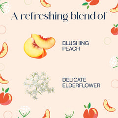 Glade® PlugIns®, Juicy Peach & Elderflower, Large Auto refills, 12.4 oz, 2 Count