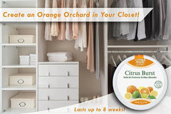 Citrus Magic For Closets Odor Absorbing Solid Air Freshener, Citrus Burst, 8 oz