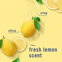 Febreze Kitchen Air Freshener, Odor-Fighting, Plug In Alternative, Air Fresheners for Home and Bathroom and Kitchen, Closet Air Fresheners, Fresh Lemon Scent, 6 Count