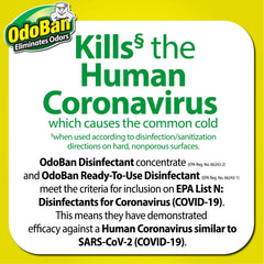 OdoBan Original Eucalyptus Scent Disinfectant Fabric & Air Freshener, 27 fl oz