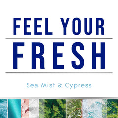 Glade PlugIns Scented Oils Air Freshener Refills, Sea Mist & Cypress, Fresh Collection, 0.67 fl oz Each, 5 Refills