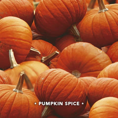 Air Wick, Plug in Essential Oils Kit, (Diffuser + Warmer + 2 Refills), Pumpkin Spice, 1.34 Fl Oz