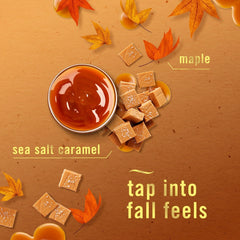 Febreze Plug Refill Odor-Fighting Air Freshener Sea Salt Caramel & Maple Scent, 3 Ct 0.87 fl oz Each