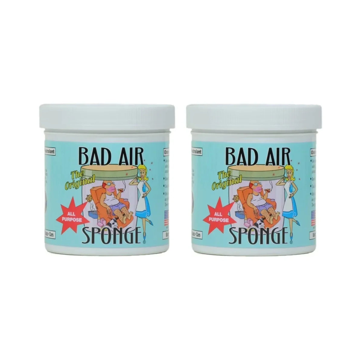 Bad Air Sponge Odor Neutralizer and Eliminator with Deghost Formula, 14 oz, 12 Pack