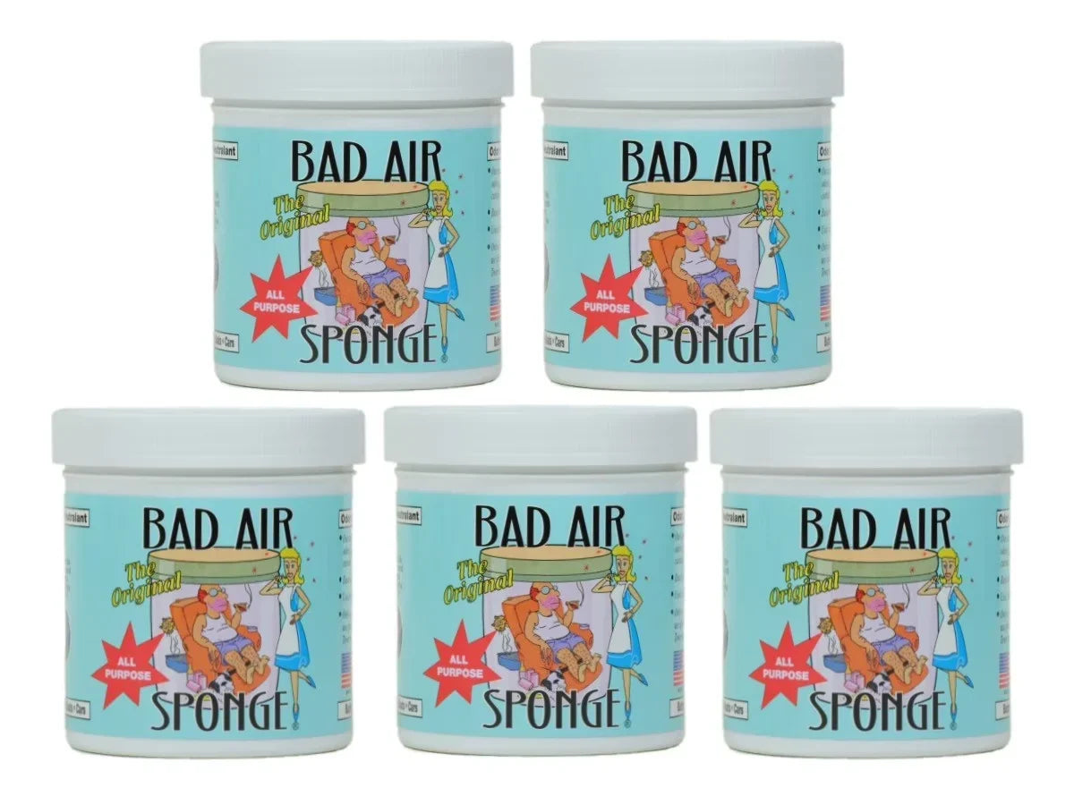 Original Bad Air Sponge Odor Absorber and Neutralizer, 14 oz, Pack of 5